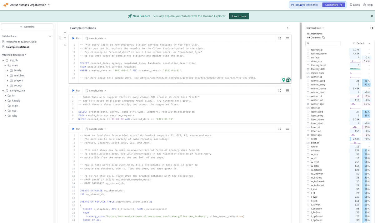 Motherduck UI